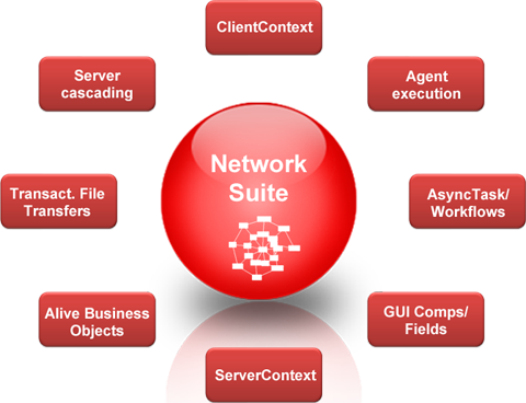 Inhalt der Net Suite